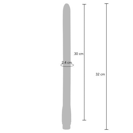 THE SURGE ANAL DOUCHE 30CM ANAL SHOWER ACCESSORY